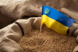 Переважну частину українського агроекспорту за минулий рік складає продукція рослинництва.