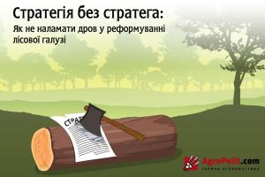 Стратегія без стратега — як не наламати дров у реформуванні лісової галузі