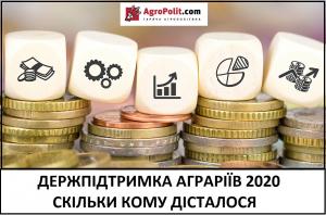 Держпідтримка 2020