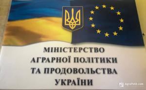 Держпродспоживслужба на шпагаті: чи забере міністр економіки Ігор Петрашко її у аграрного міністра  Романа Лещенко?