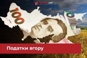 Податки вгору – ставки ПДВ, акциз на пальне збільшать, а четверту групу ліквідують?