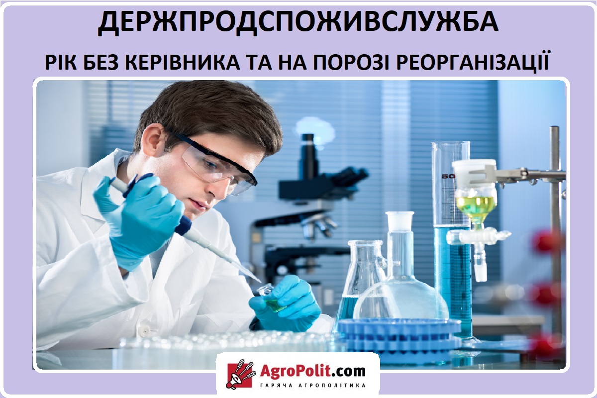 Держпродспоживслужба: рік без керівника та на порозі реорганізації