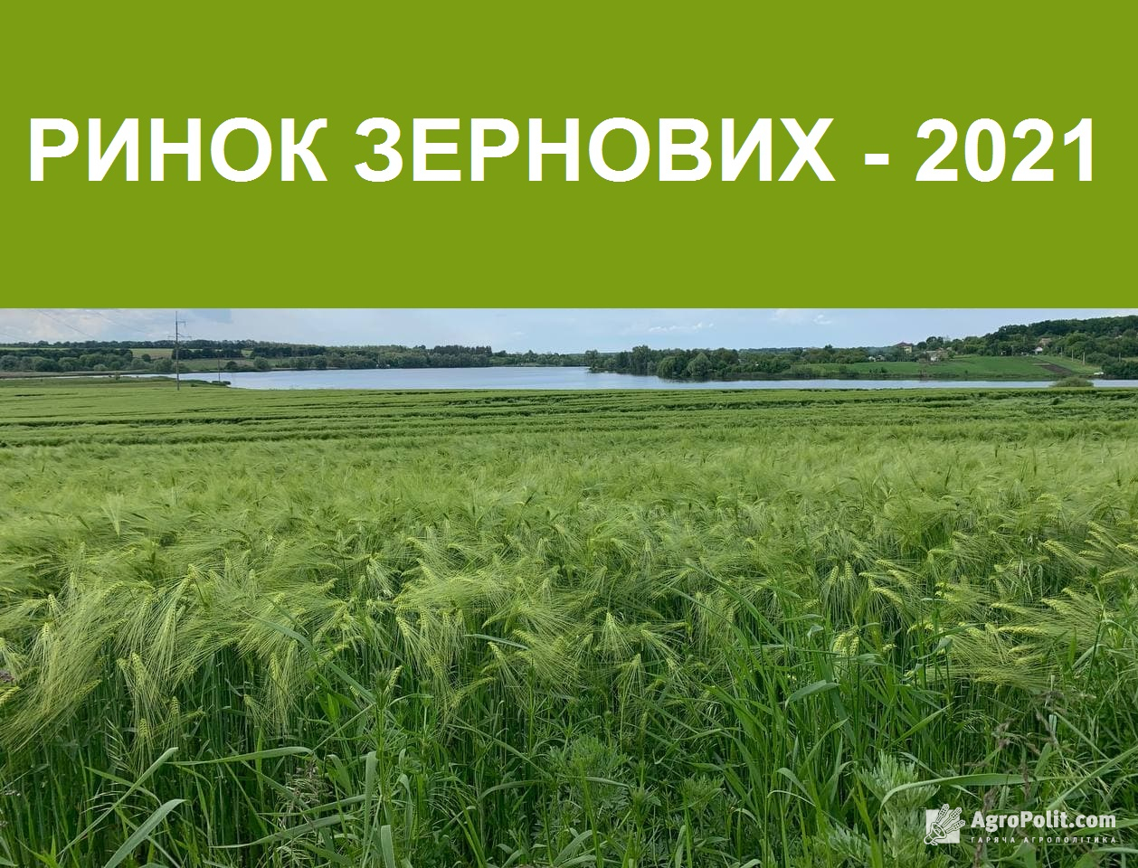 Врожай зернових 2021: прогнози, ціни, перспективні ринки збуту та аналіз форвардних угод