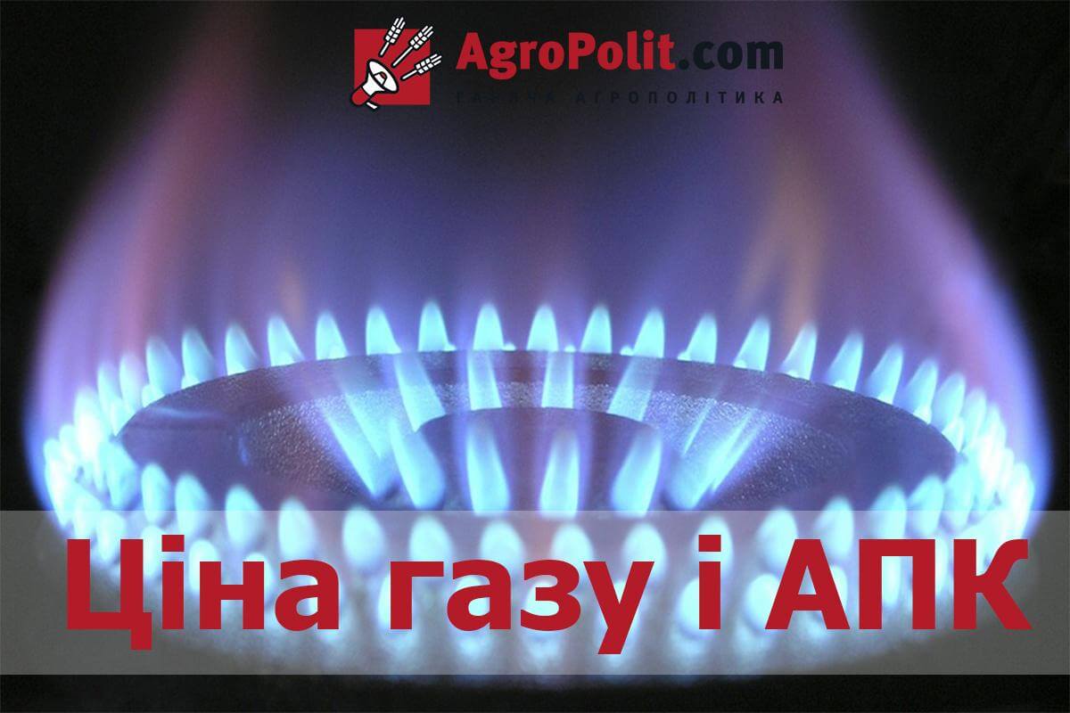 Доступний газ для виробників продуктів – кров у венах для всієї економіки України