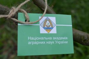 Через  анексію  Криму та війну на Сході НААН не може контролювати 35,1 тис. га землі – офіційно