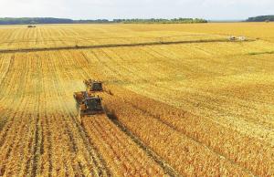 Збереження мораторію на купівлю-продаж сільгоспземель є вимушеним, але не має бути безкінечним 