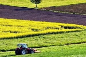 Ринок землі: юрособам можуть дозволити купівлю до 1 тис. га