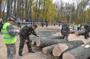 Аукціони з продажу деревини проводитимуться в електронній формі