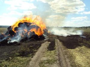 Фермери очікують колапсу аграрної галузі вже через 2-3 тижні