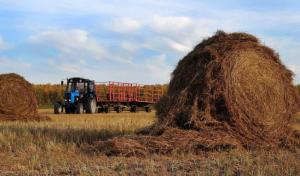 Названо найпопулярніші кооперативи в Україні