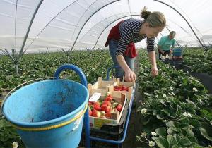 1 млн мігрантів у Польщі перерахували в Україну суму, яка дорівнює 3-4% ВВП