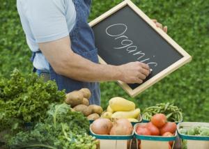 В Україні створять реєстр виробників органічної продукції, – Мінагрополітики