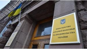 Українських виробників запрошують на Халяльну виставку у Стамбулі