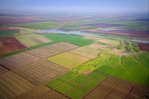 Розпорядження всіма державними землями пропонують передати об'єднаним громадам