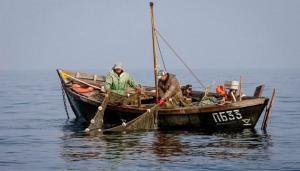 З 1 травня в Чорному морі заборонено вилов бичка і калкана чорноморського