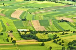 Як іноземці купуватимуть землю після відміни мораторію, – Гончарук 