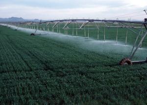 Законопроект про об’єднання водокористувачів — зрошення на Півдні України реанімують