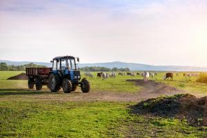 Сільське господарство