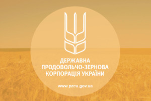 ДПЗКУ виплатила $116 млн за кредитною угодою з Ексімбанком Китаю