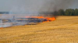 Лісові й сільськогосподарські пожежі можна відстежувати онлайн, — Держлісагентство