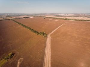 Як детінізувати сільськогосподарські землі та запровадити єдині податкові правила для аграріїв, – народний депутат 