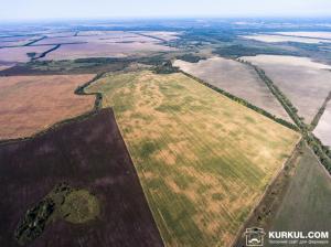 У Держгеокадастрі розповіли, скільки зареєстрували земельних ділянок