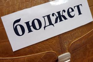 Коштів на підтримку українського АПК у 2021 році закладено стільки ж, як у 2020-му