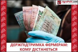 У Мінфіні повідомили, скільки аграріїв зможуть скористатися програмами держпідтримки у 2021-му