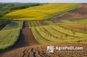 Сьогодні громади Харківщини отримають у власніть майже 8,5 тис. га земель сільськогосподарського призначення