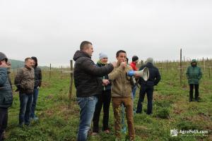 Названо нардепів аграрного комітету, які не голосували за законопроект про сільськогосподарську кооперацію