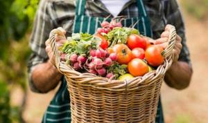 Названо області, де зросло виробництво сільськогосподарської продукції у 2021 році