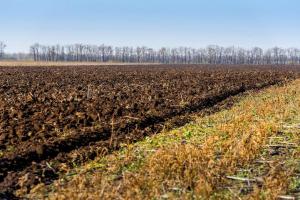 На Житомирщині проведуть інвентаризацію земель для протидії земельному рейдерству