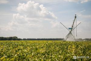 Рада підтримала в першому читанні законопроект про меліорацію земель