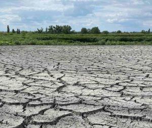 У Луцьку вперше в Україні вироблятимуть органічне добриво з мулу