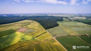 В системі «Прозорро.Продажі» відбулося понад 300 земельних аукціонів