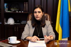 Голова ТСК з питань захисту прав інвесторів: за минулий рік було розглянуто 4 справи щодо земельного рейдерства