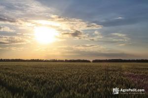 Озвучено середньозважену ціну 1 га землі в Україні