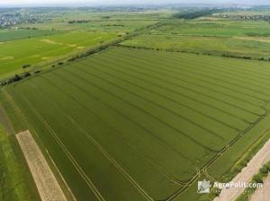 Озвучено вартість 1 га землі в Україні у жовтні