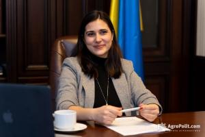 Галина Янченко секретар Національної інвестиційної ради при президентові України