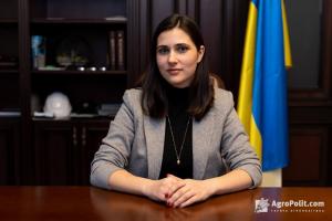 Галина Янченко голова ТСК з питань захисту прав інвесторів, секретар Національної інвестиційної ради при Президентові України