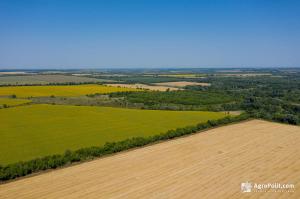 За період війни в Україні укладено 44,3 тис. земельних угод