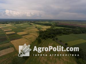 Яка середня ціна на ділянку землі встановилася в Україні під час війни: дослідження