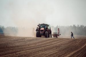 На Тернопільщині (94,7 тис. га), Вінниччині (74,3 га) та Хмельниччині (60,8 га) аграрії встигли посіяти найбільше зернобобових та зернових культур