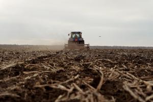 Фермерське господарство може використовувати ліцензії, а також інші дозвільні документи до закінчення їх дії