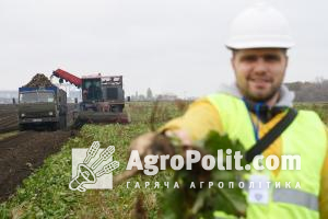 Йти на цінові коригування буряків виробники змушені, незважаючи на стрімке скорочення якісної продукції