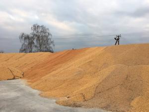 Зерно можуть перевіряти на вимогу заявника в державних чи приватних лабораторіях