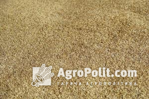 Програма Grain from Ukraine направлена на відправку до держав Азії та Африки 125 тис. т зерна