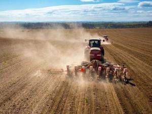 Зменшення майбутнього врожаю викликане окупацією частини української території і замінуванням полів.