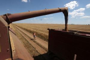 Зернова угода може бути продовжена в понеділок