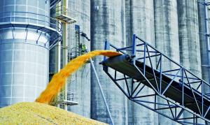 Румунія не передбачає продовження заборони на зерно